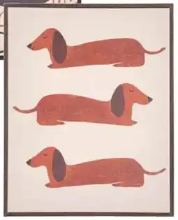 Kwantum Dog aanbieding