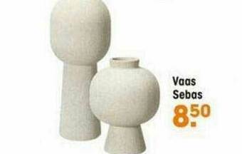 Kwantum Vaas Sebas aanbieding