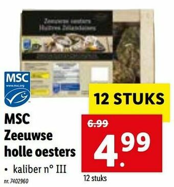 Lidl Msc zeeuwse holle oesters aanbieding