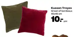 Kwantum Kussen Troyes aanbieding