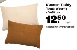 Kwantum Kussen Teddy aanbieding