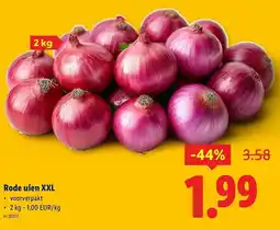 Lidl Rode uien XXL aanbieding