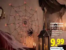 Lidl Livarno home ledspinnenweb aanbieding