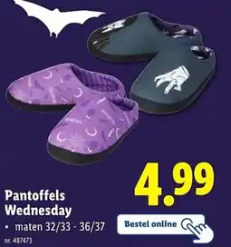 Lidl Pantoffels Wednesday aanbieding
