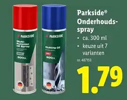 Lidl Parkside Onderhouds- spray aanbieding