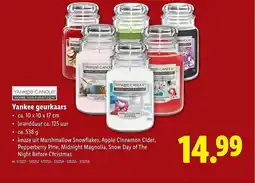 Lidl Yankee geurkaars aanbieding