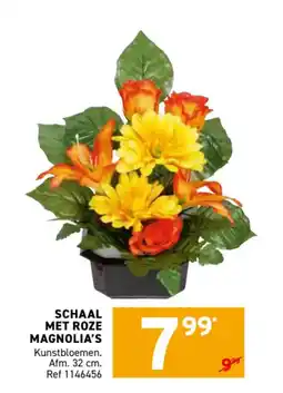 Trafic Schaal met roze magnolia's aanbieding