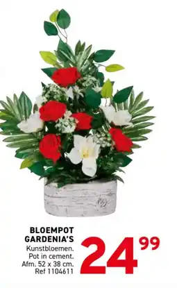 Trafic Bloempot gardenia's aanbieding