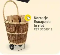 Brico Karretje Escapade In riet aanbieding