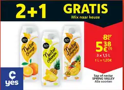Cora Spring valley sap of nectar aanbieding