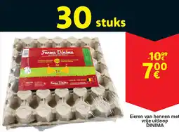 Cora Dinima eieren van hennen met aanbieding