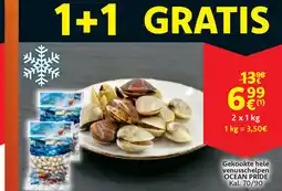 Cora Ocean pride gekookte hele venusschelpen aanbieding