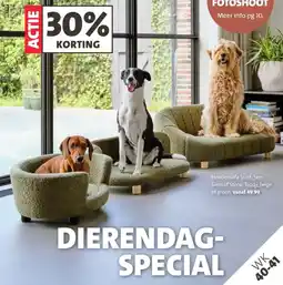 Intratuin Hondensofa scott sem siem of stone aanbieding