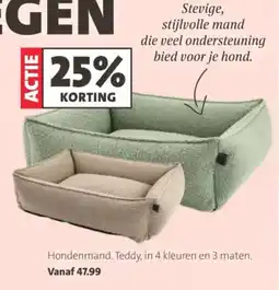Intratuin Hondenmand aanbieding