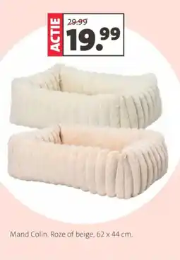 Intratuin Mand Colin Roze of beige aanbieding