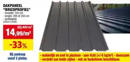 Hubo Bricoprofiel dakplaat 200x105 cm 0,5mm grafiet aanbieding