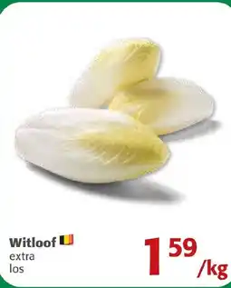 Comarkt Witloof extra aanbieding