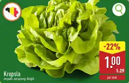 ALDI Kropsla aanbieding