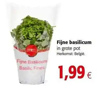 Fijne basilicum