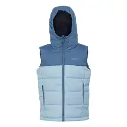 Decathlon Kinder/Kinder Lofthouse II Gilet (Koronetblauw/heldere hemel) aanbieding