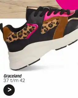 vanHaren Graceland aanbieding