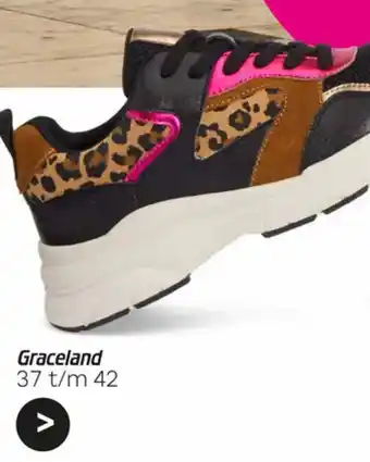 vanHaren Graceland aanbieding