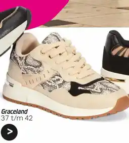 vanHaren Graceland aanbieding