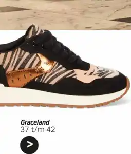 vanHaren Graceland aanbieding