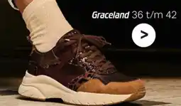 vanHaren Graceland aanbieding