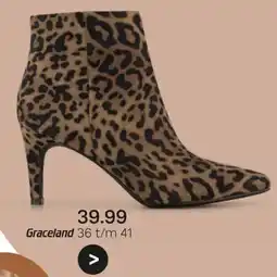 vanHaren Graceland aanbieding