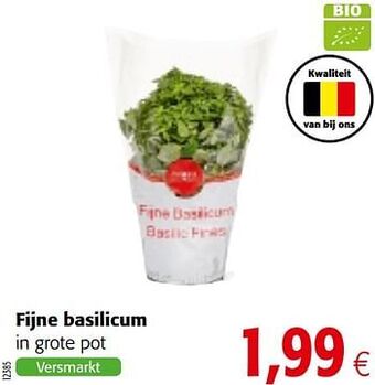 Fijne basilicum