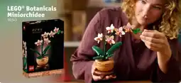 Kruidvat LEGO botanicals miniorchidee aanbieding