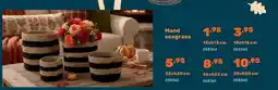 Happyland Mand seagrass 15xh13 cm aanbieding