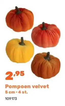 Happyland Pompoen velvet 5 cm • 4 st aanbieding