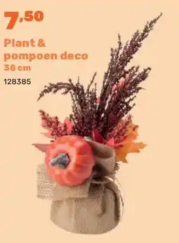 Happyland Plant & pompoen deco 38 cm aanbieding