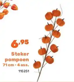 Happyland Steker pompoen 71 cm • 4 ass aanbieding
