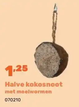 Happyland Halve kokosnoot met meelwormen aanbieding