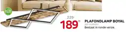 Brico Plafondlamp boyal aanbieding