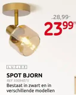 Brico Luċide Spot Bjorn aanbieding