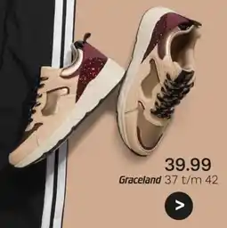 vanHaren Graceland aanbieding