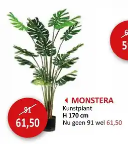 Weba MONSTERA aanbieding