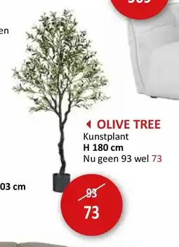 Weba OLIVE TREE aanbieding