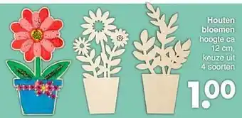 Wibra Houten bloemen aanbieding