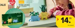 Carrefour LEGO Botanicals Vrolijke plantjes aanbieding