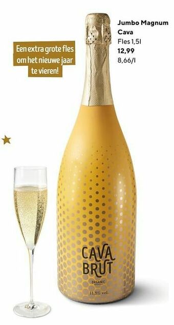Jumbo magnum cava