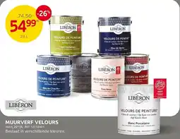 Brico Muurverf velours aanbieding