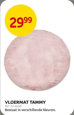 Brico Vloermat tammy aanbieding