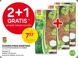Brico Schors pinus maritima aanbieding