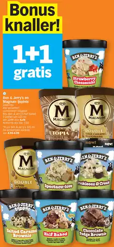 Albert Heijn Ben & Jerry's en Magnum ijspints aanbieding