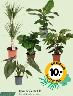 Jumbo Urban Jungle Plant XL aanbieding